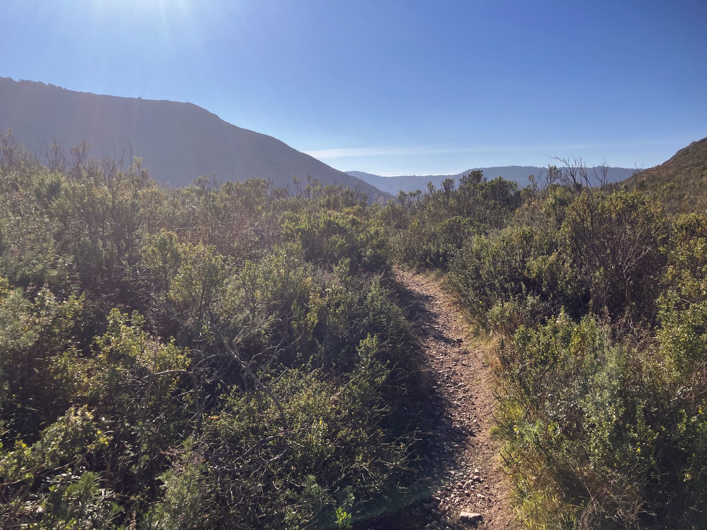 Singletrack near Oats Peak.