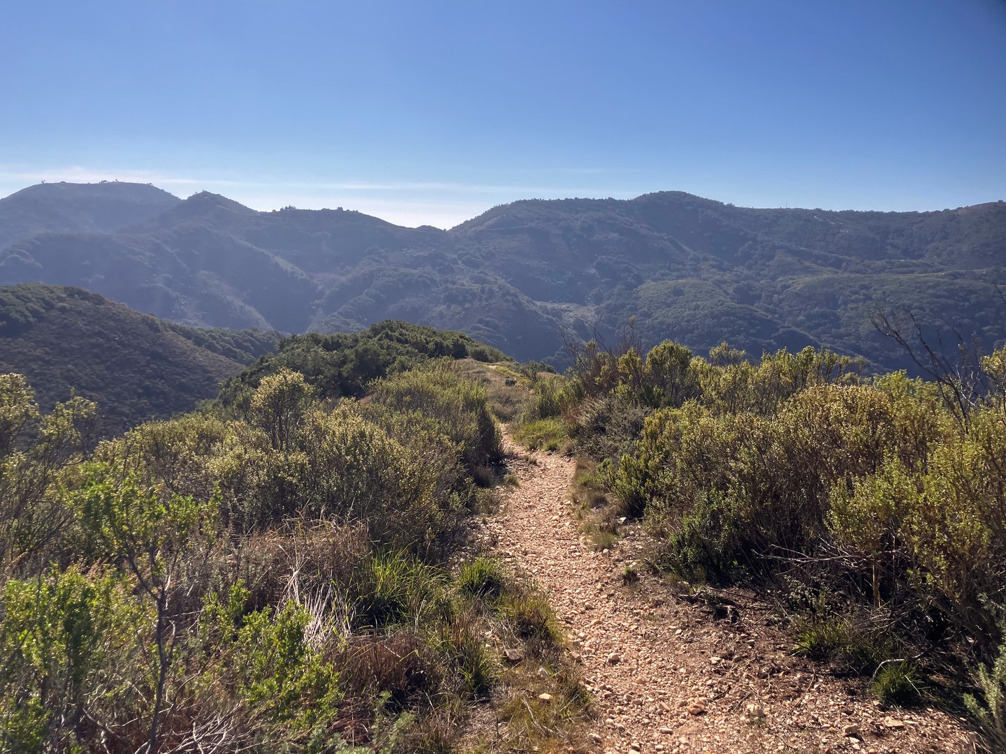 Beginning the descent toward Coon Creek.
