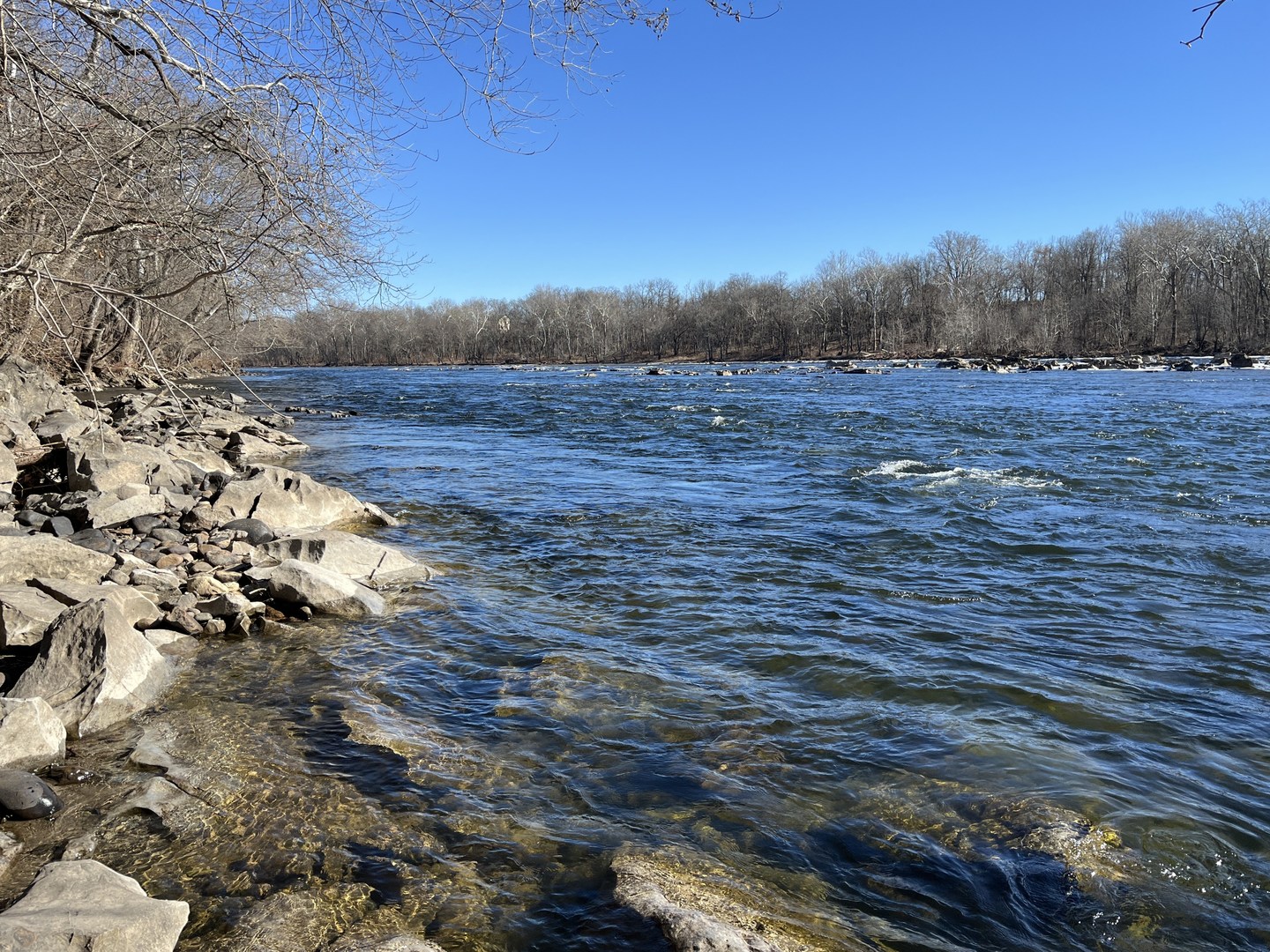 Delaware River from trail.