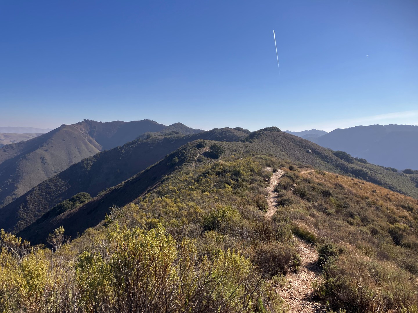 The prominent and attractive ridge between Oats Peak and Alan Peak.