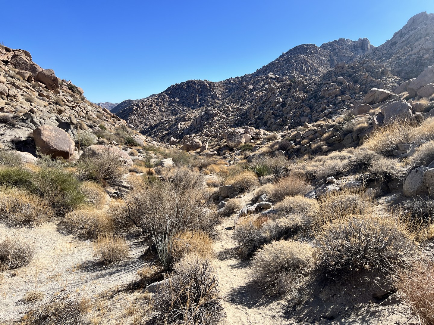 Goat Canyon Trestle Trail