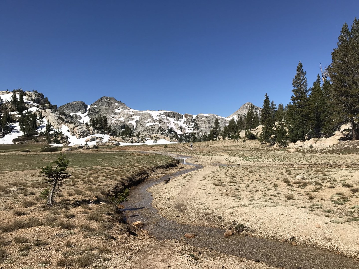 Pacific Crest Trail - South of Smedberg Lake