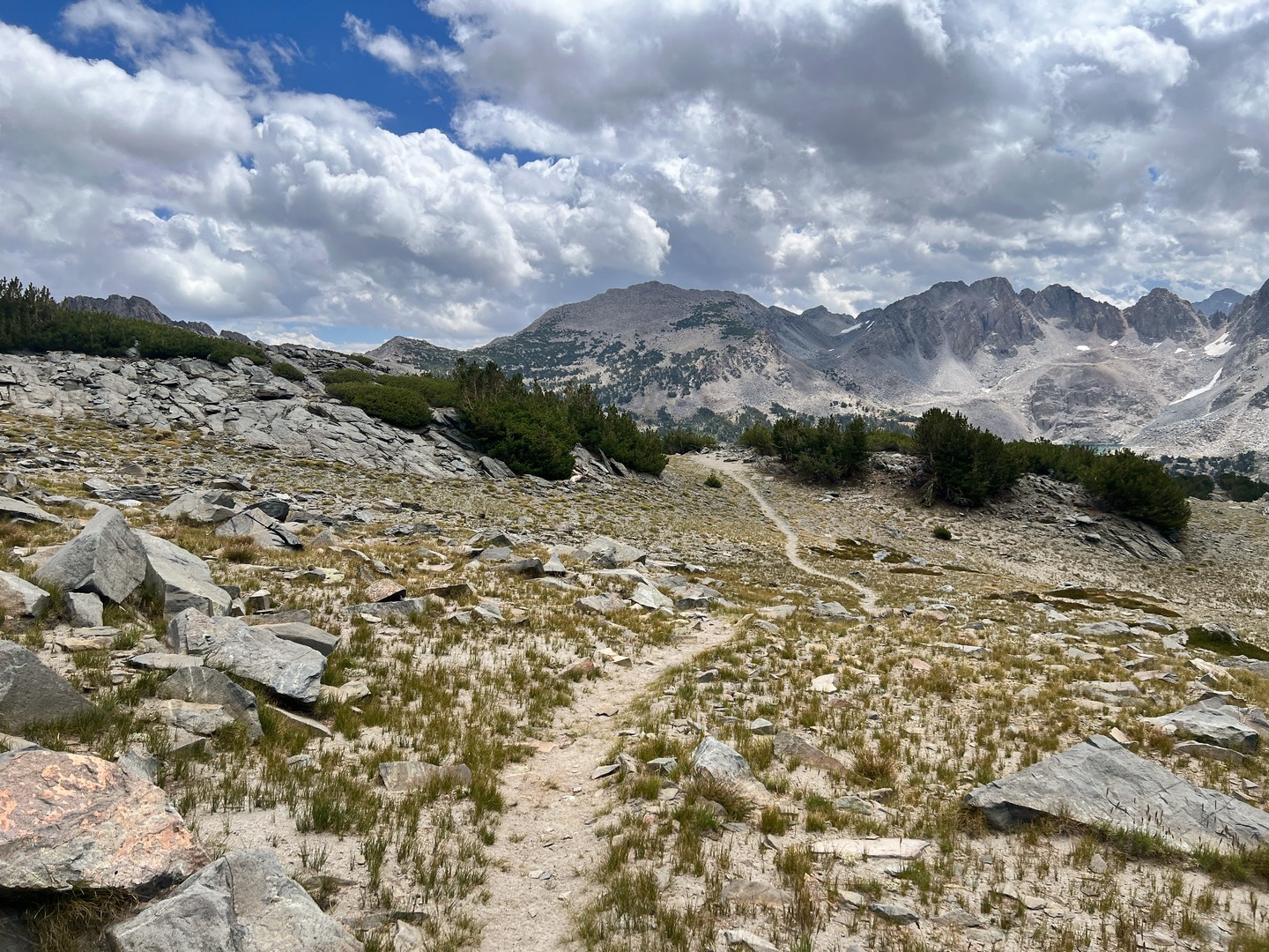 Along Mammoth Crest Trail.