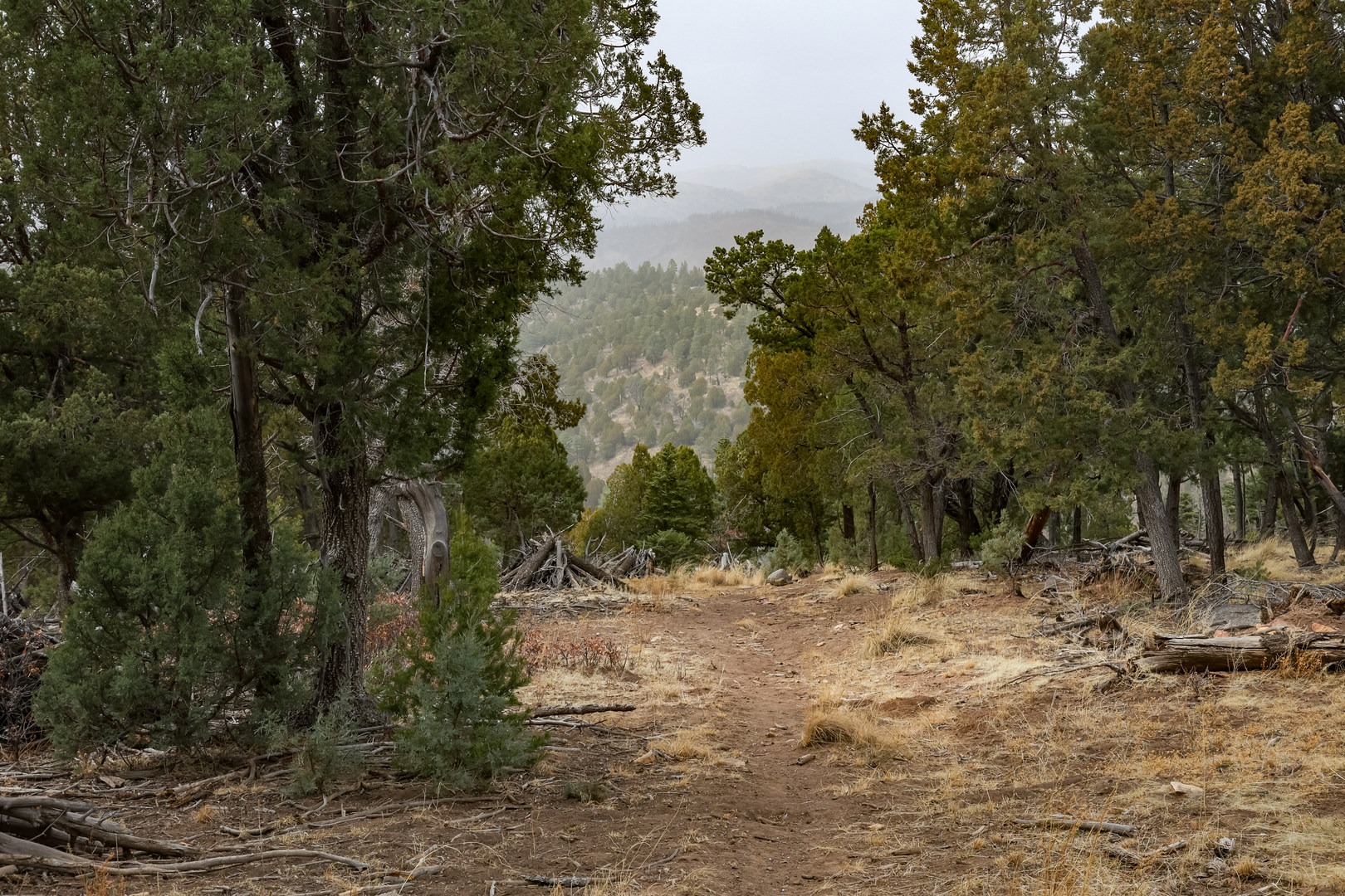 Occasional views from the Old Grindstone Mesa Trail.