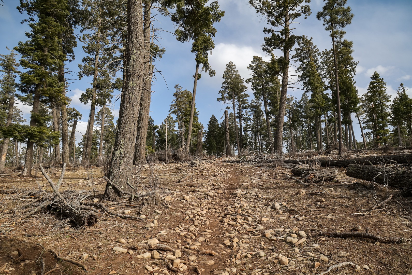 The dirt single track also sees use from bicyclists and equestrians.