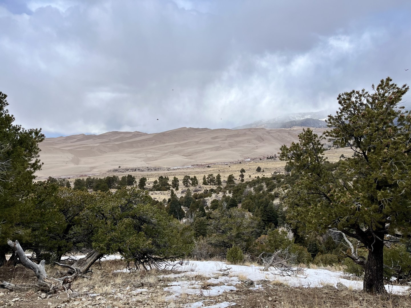 Great Sand Dunes National Park.