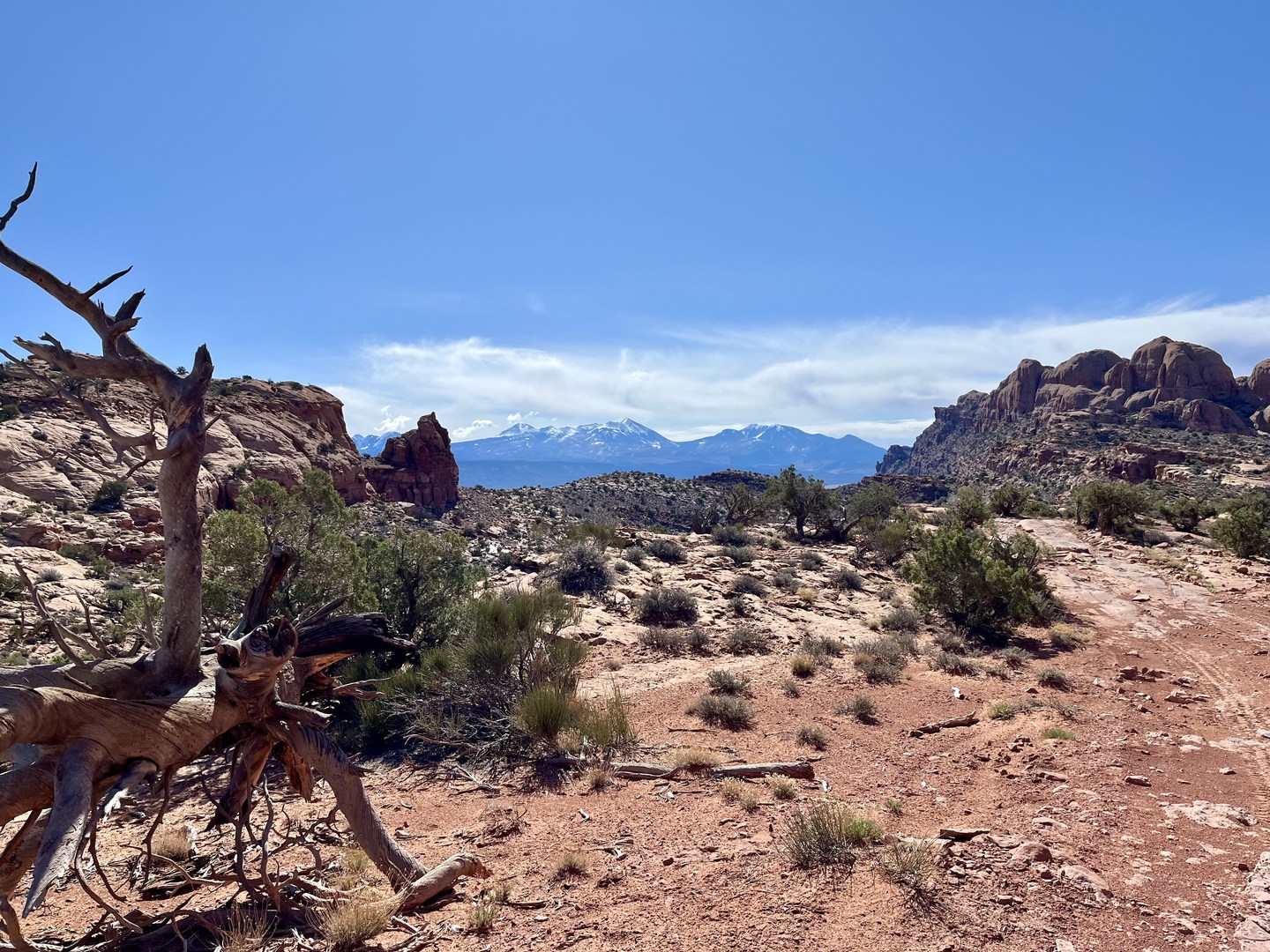 The La Sal Mountains in the distance.