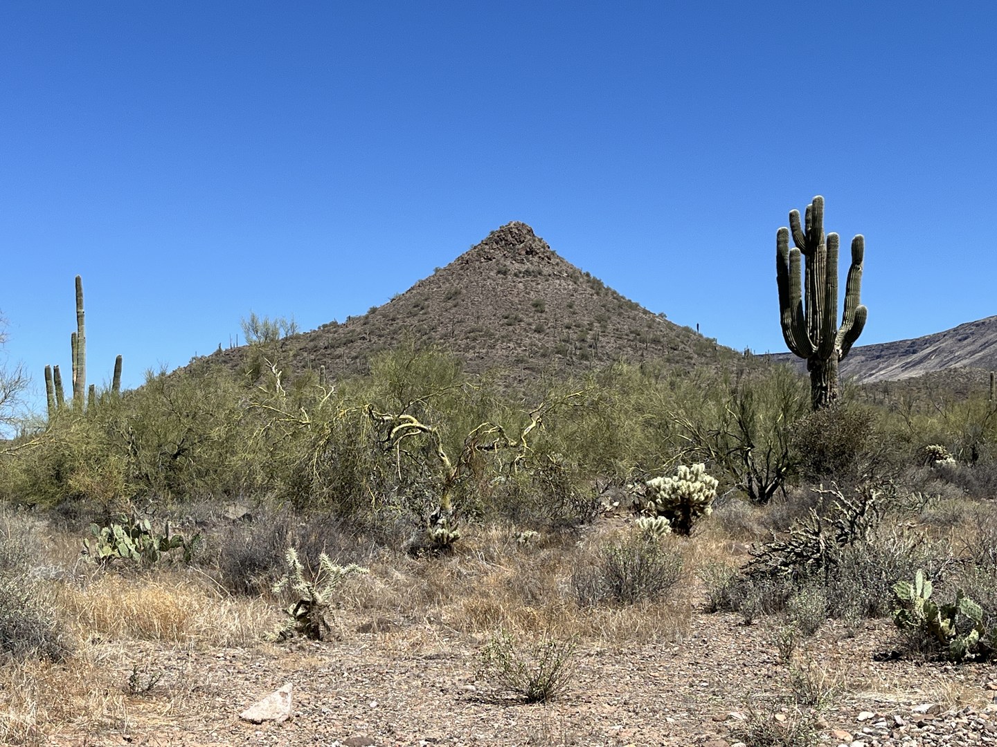 View on descent from summit.