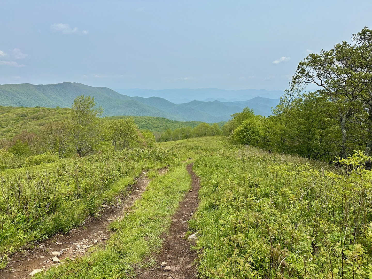 The trail to Siler Bald.