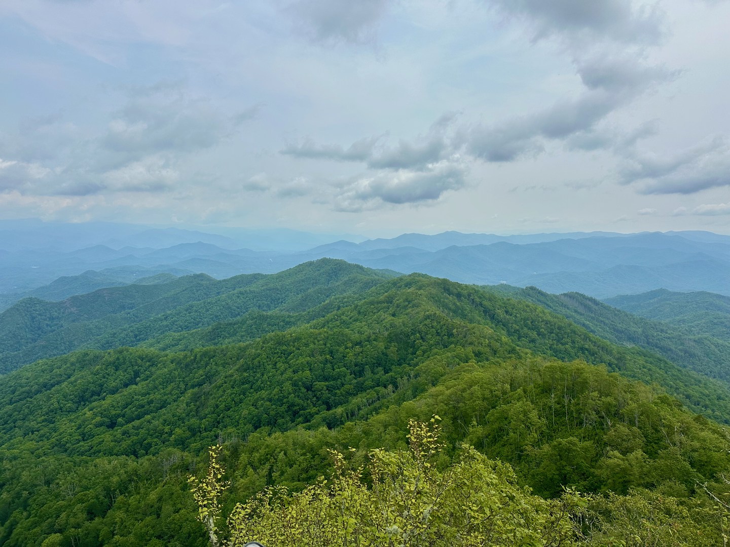 Stunning views from Wesser Bald.