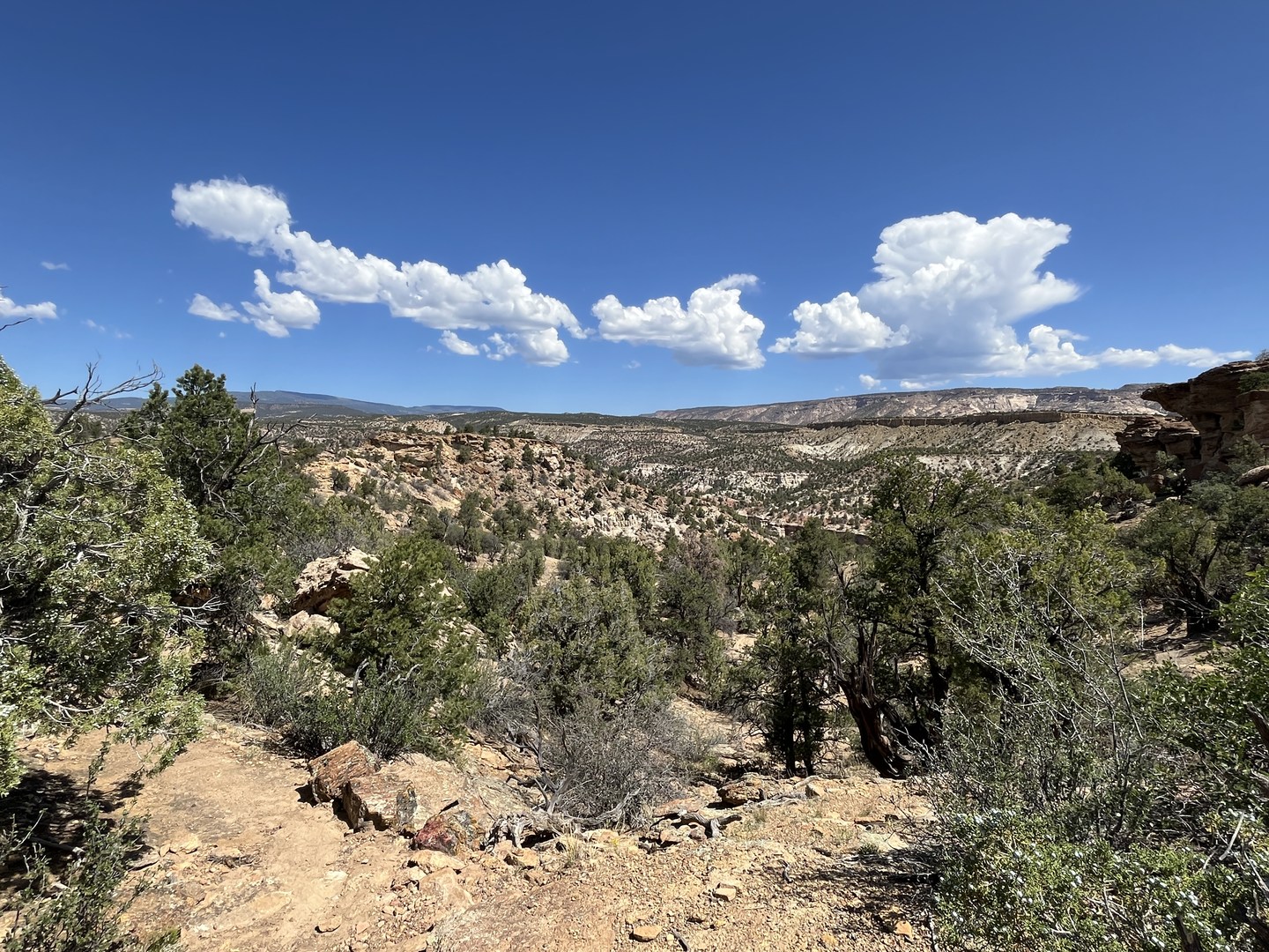 View north from the trail.