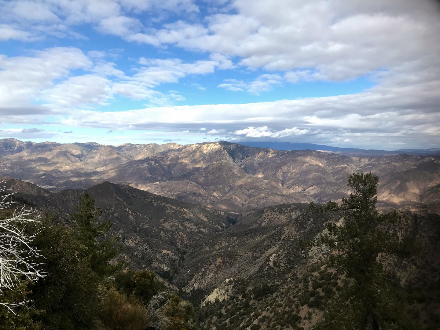 Looking north from Nordhoff Road.
