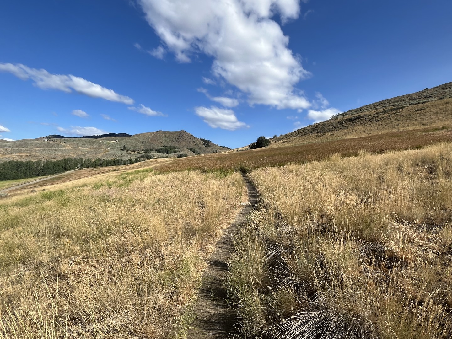 Northwest view from trail.