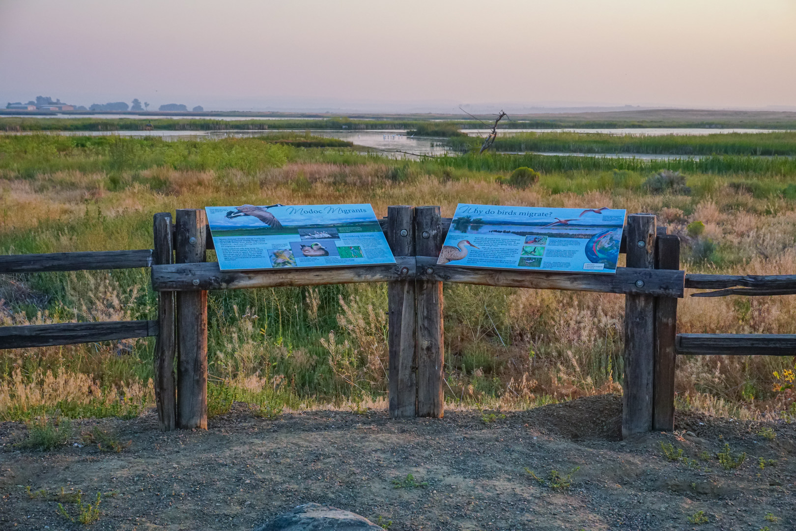 Several interpretive signs along the trail offer information on the bird species that call the wildlife refuge home.