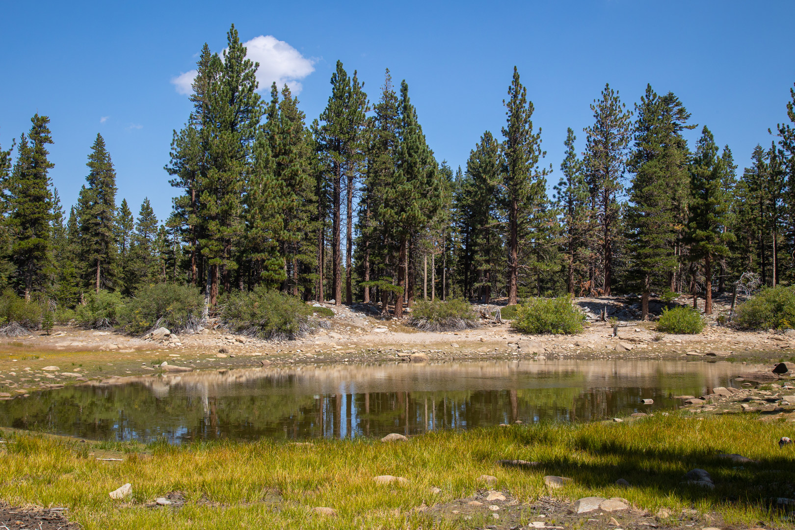 Hidden Lake is a small seasonal lake on the eastern slope of Mount Rose.