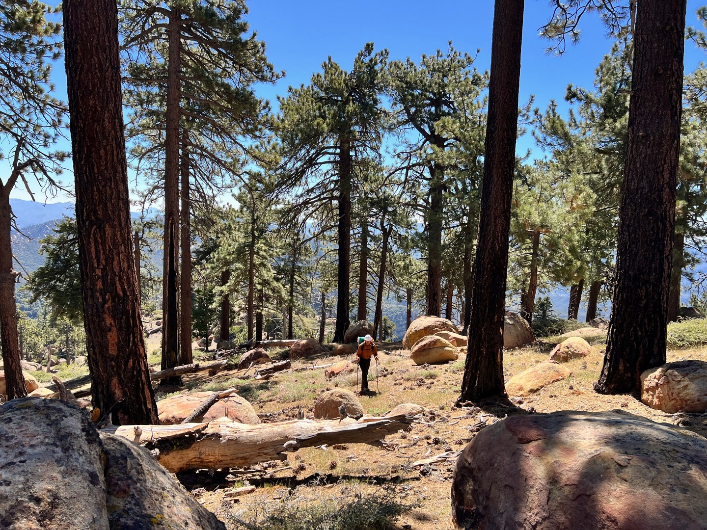 Nearing the summit of Haddock Mountain.