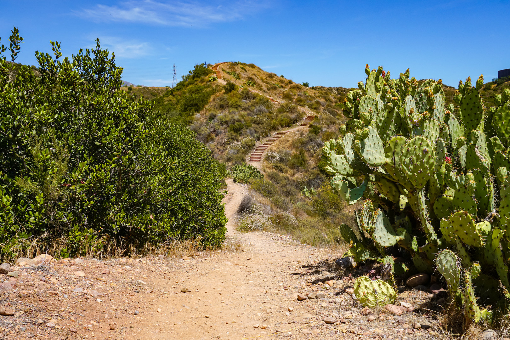 Billy Goat Trail inside Whiting Ranch Wilderness Park.