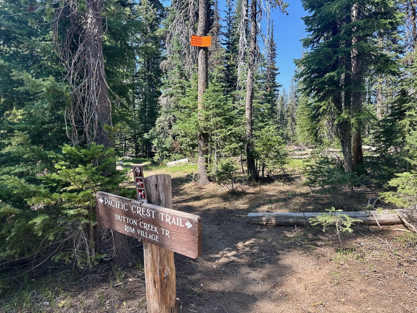 End of the trail and junction with the PCT.