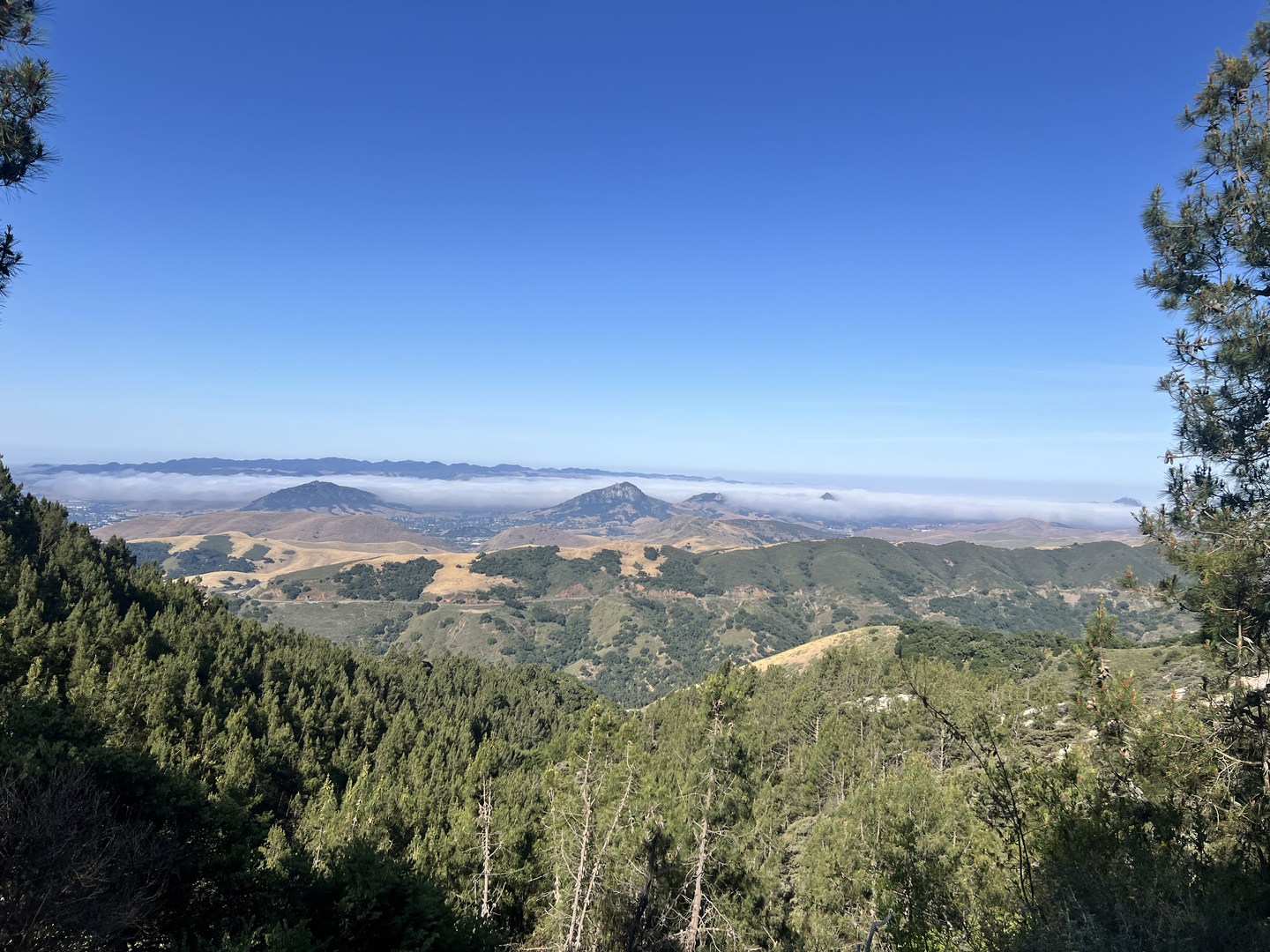 Views from Mount Lowe Road