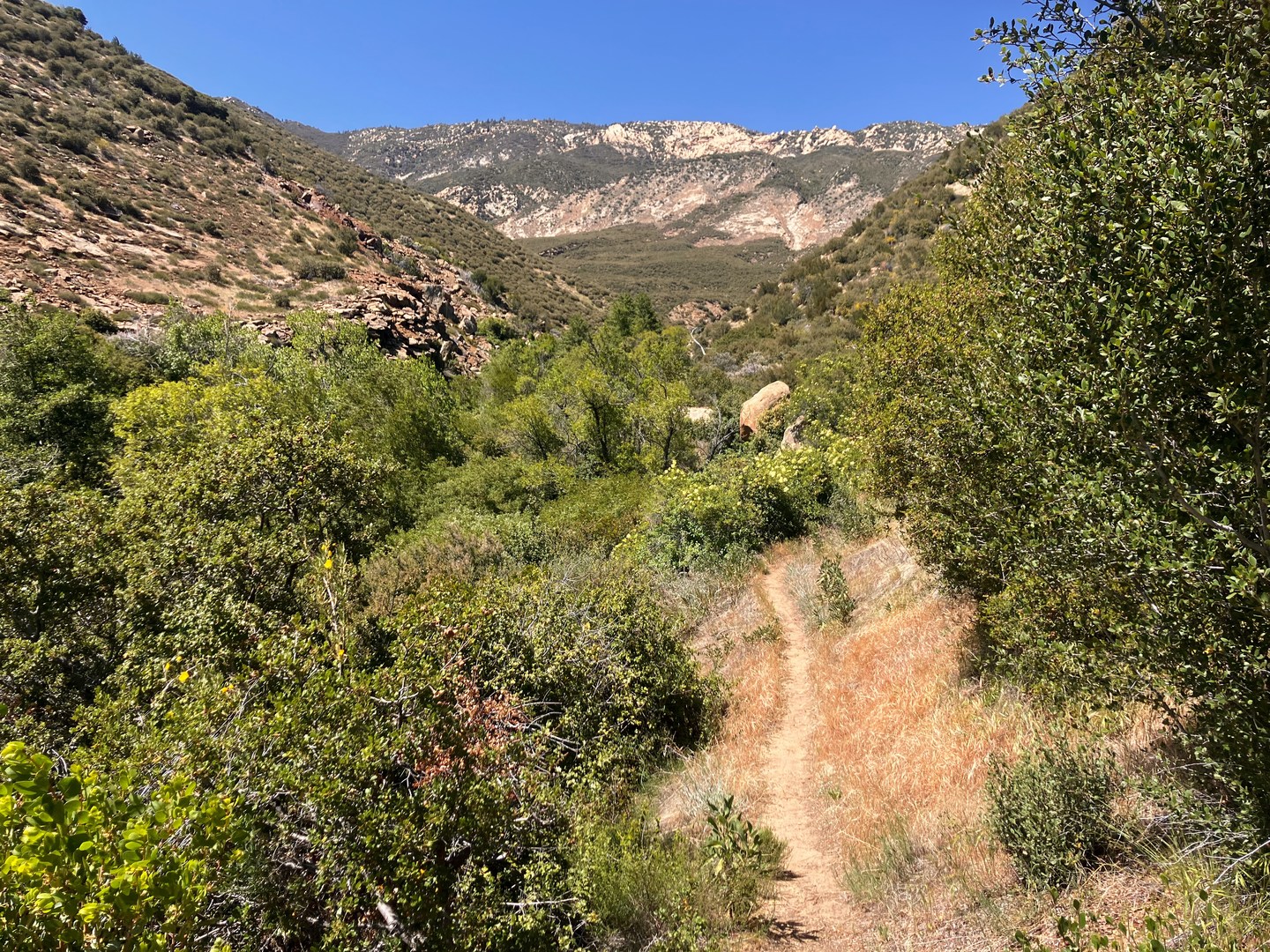 Ascending Pine Mountain along Piedra Blanca Trail.