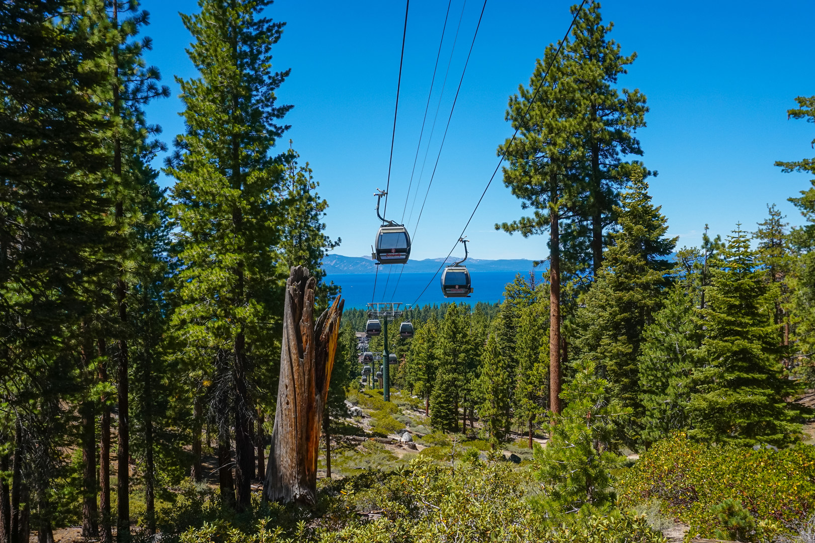 Heavenly Gondolas along the Barn Trail inside Van Sickle Bi State Park.