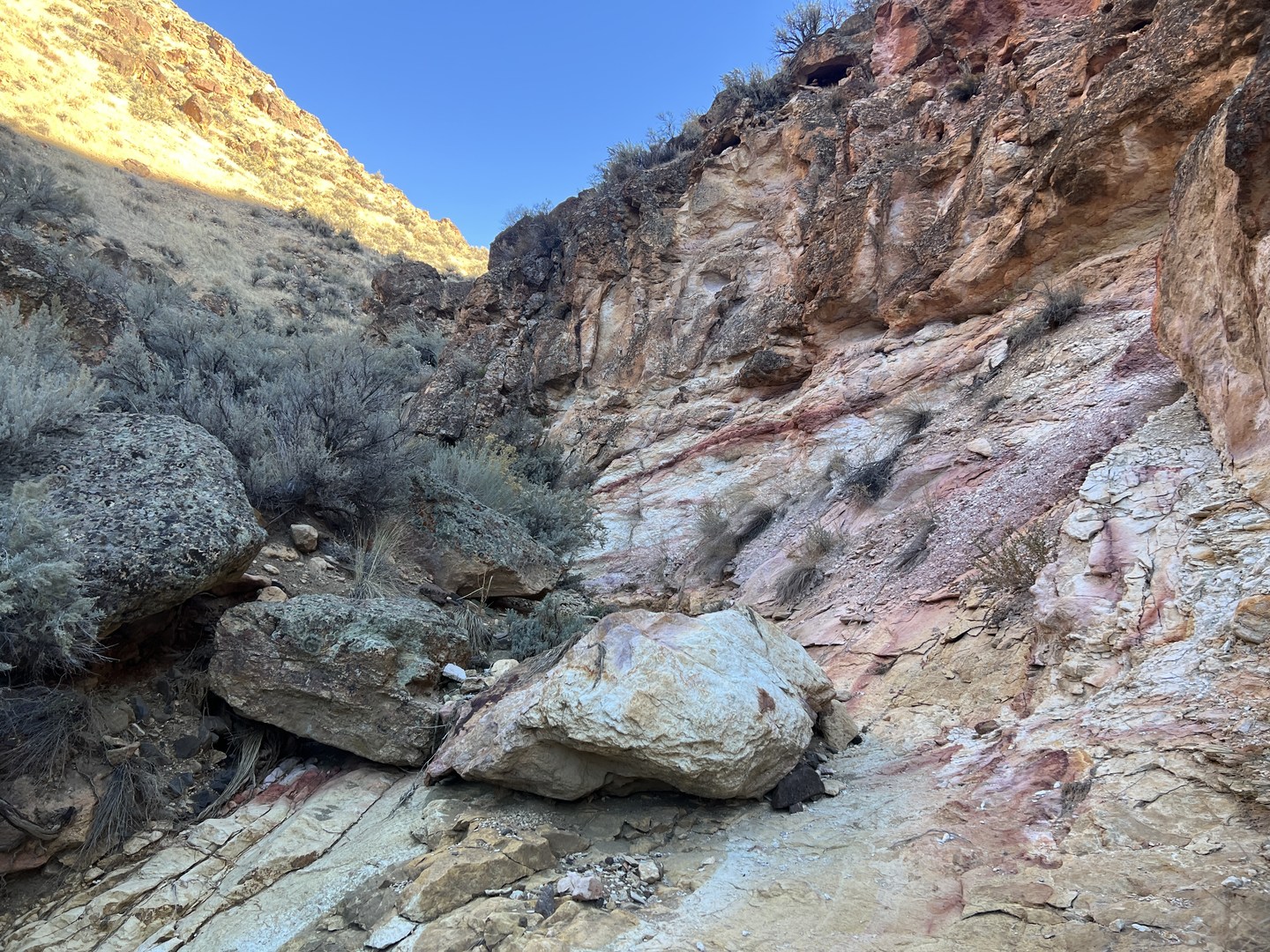ODT near Honeycomb Wilderness Study Area