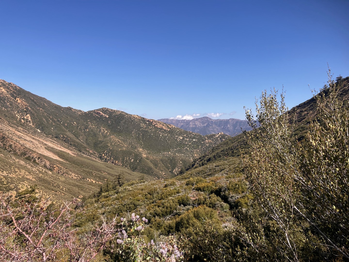 The view south on the descent of Pine Mountain massif.