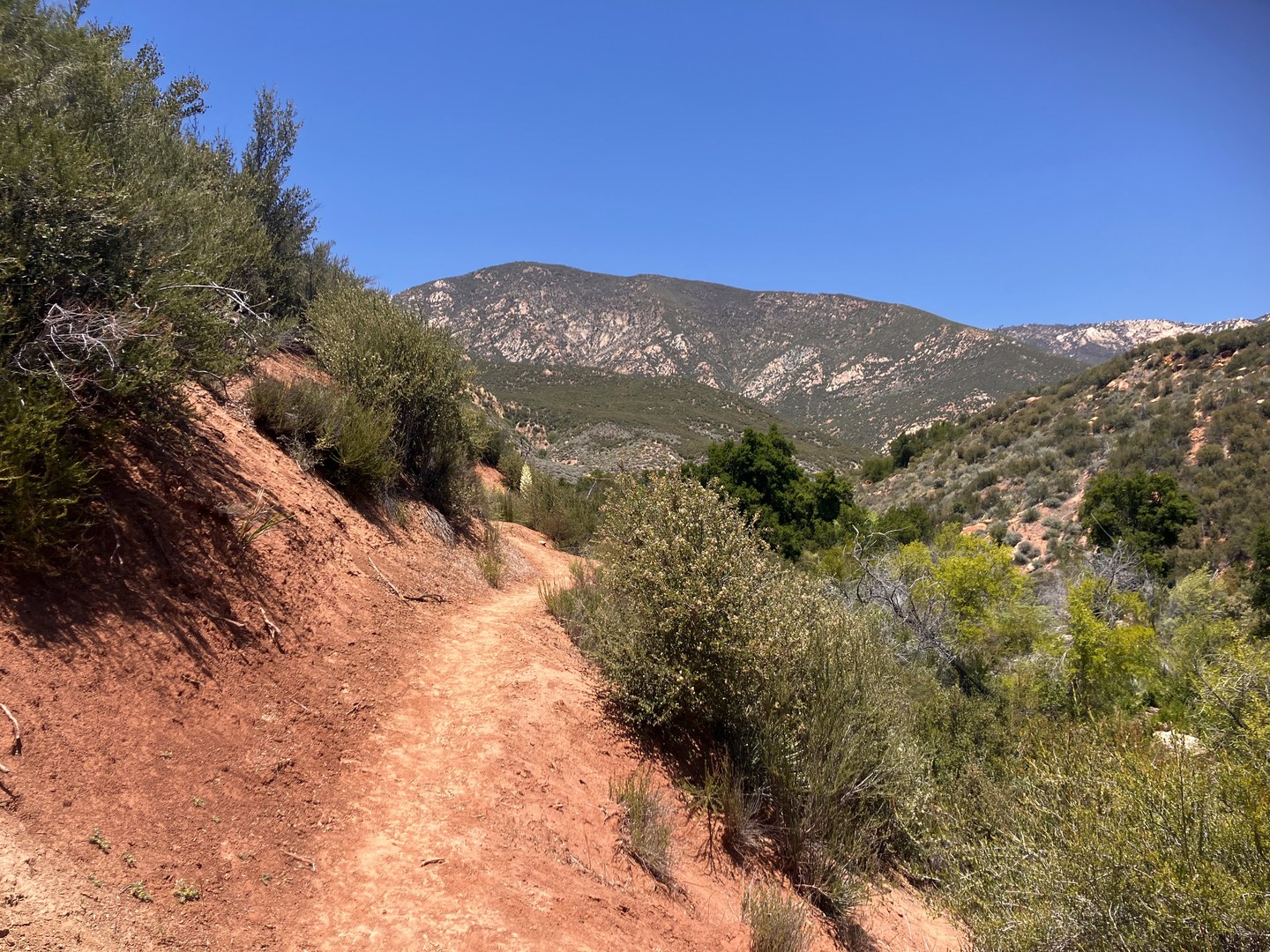 Ascending Piedra Blanca Trail.