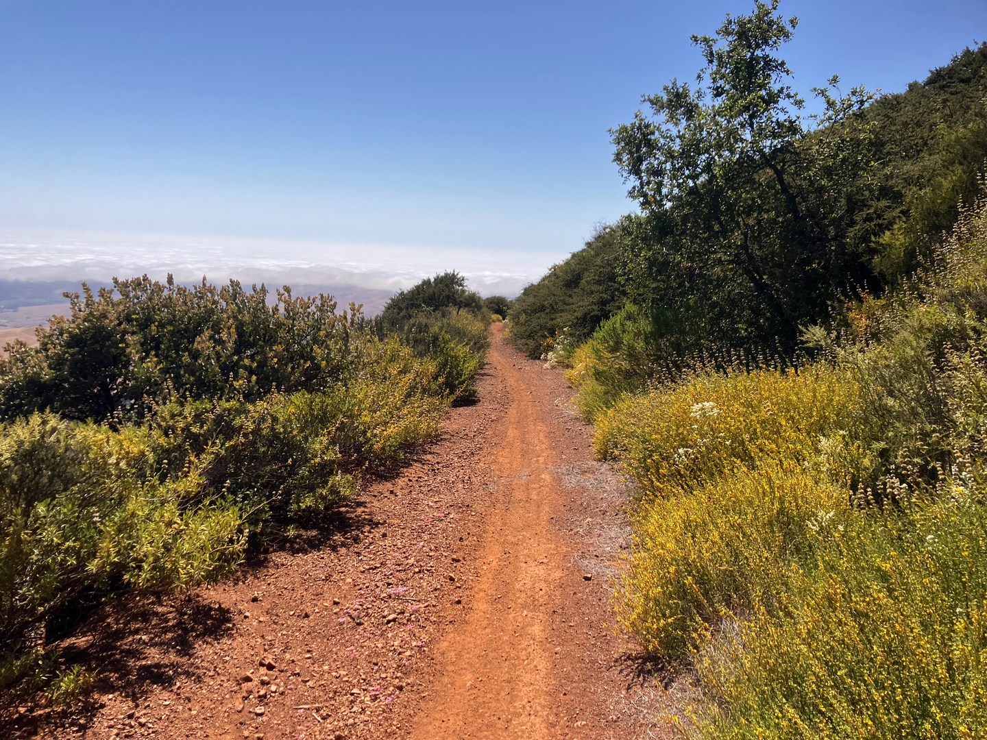 Single track nearing the turnoff for Cerro Alto.