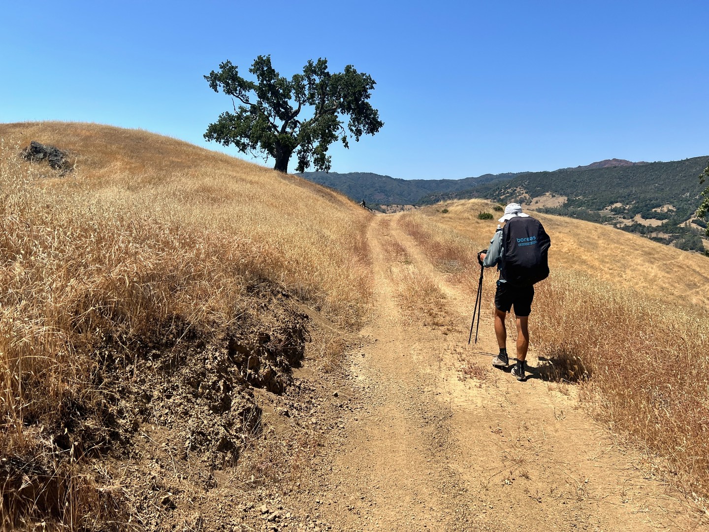 Near the top of the ridge, along Baldwin Ranch Road.