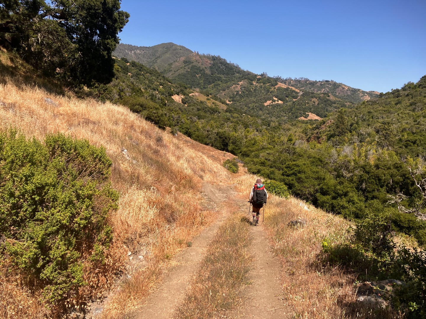 On the descent to join Dutra Creek.