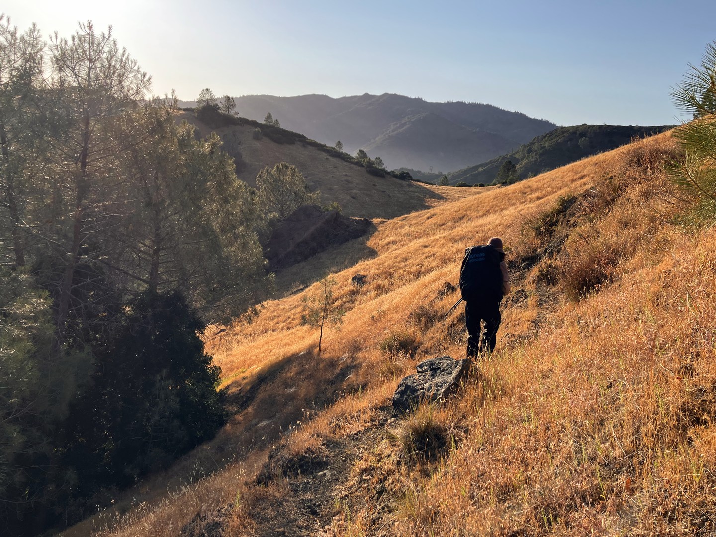 Spruce Creek Trail nearing the the descent to Salmon Creek.