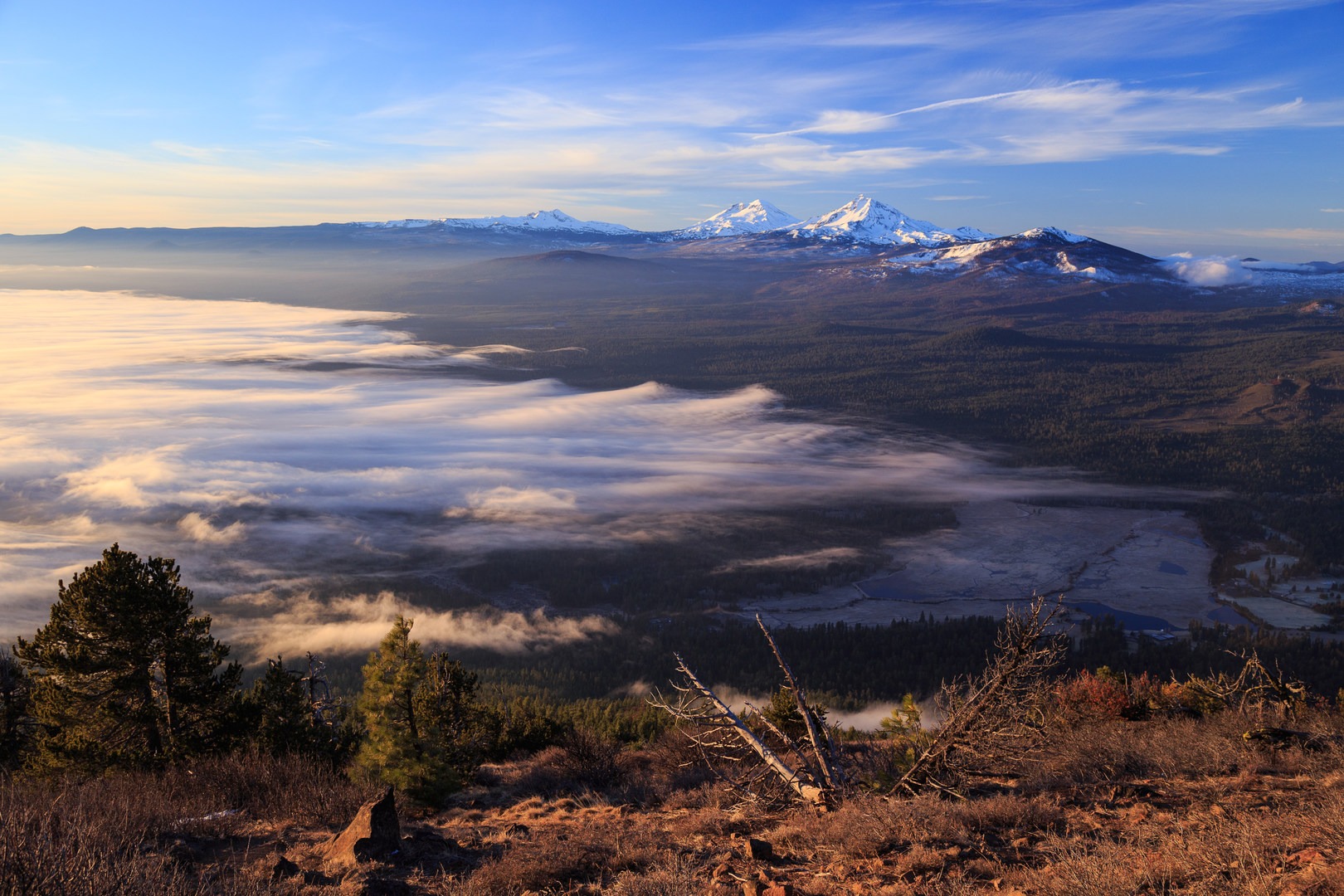 Morning light over low-lying fog as the Three Sisters look on from the horizon.