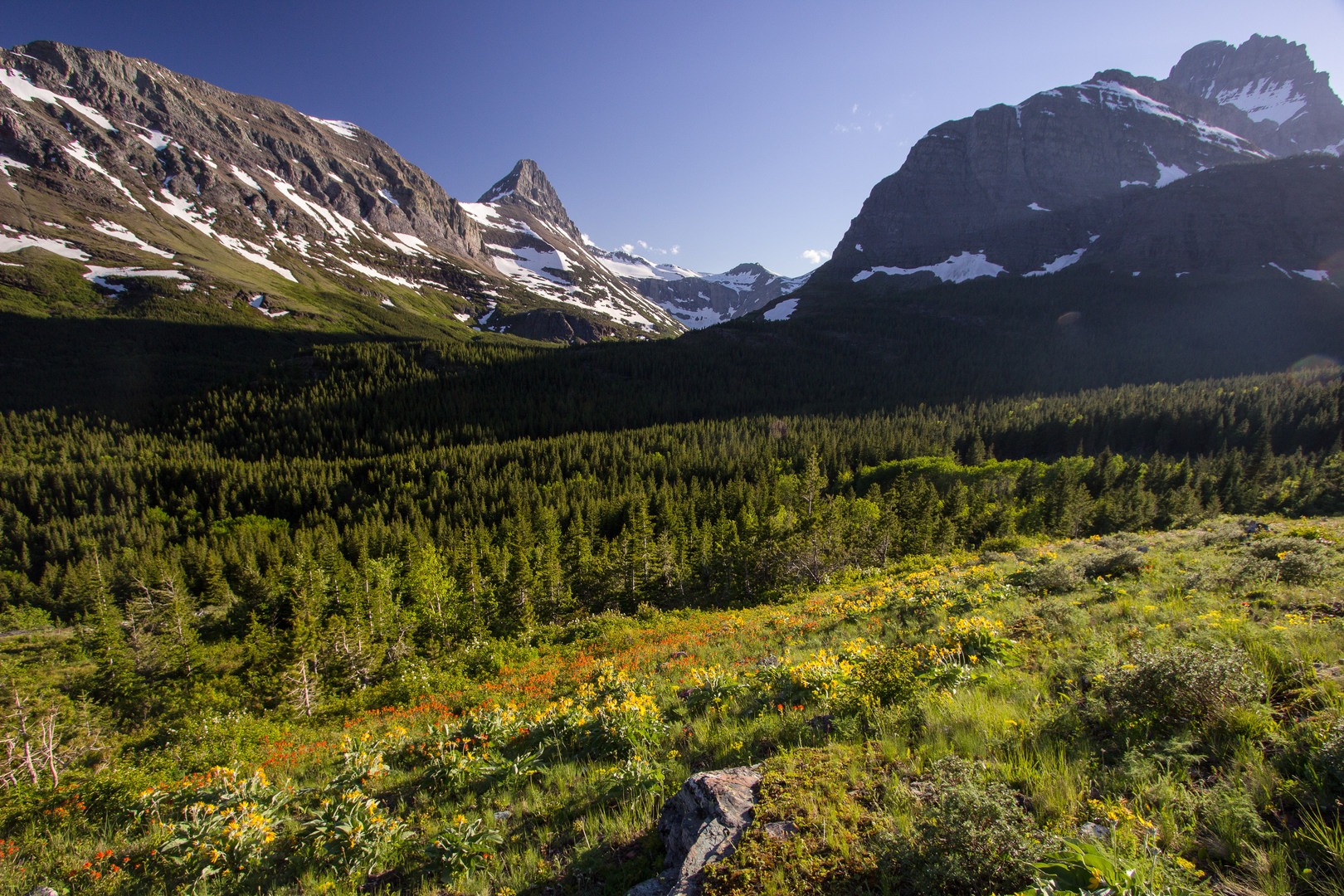 Spring wildflowers along the trail with Mount Grinnell dominating the skyline.