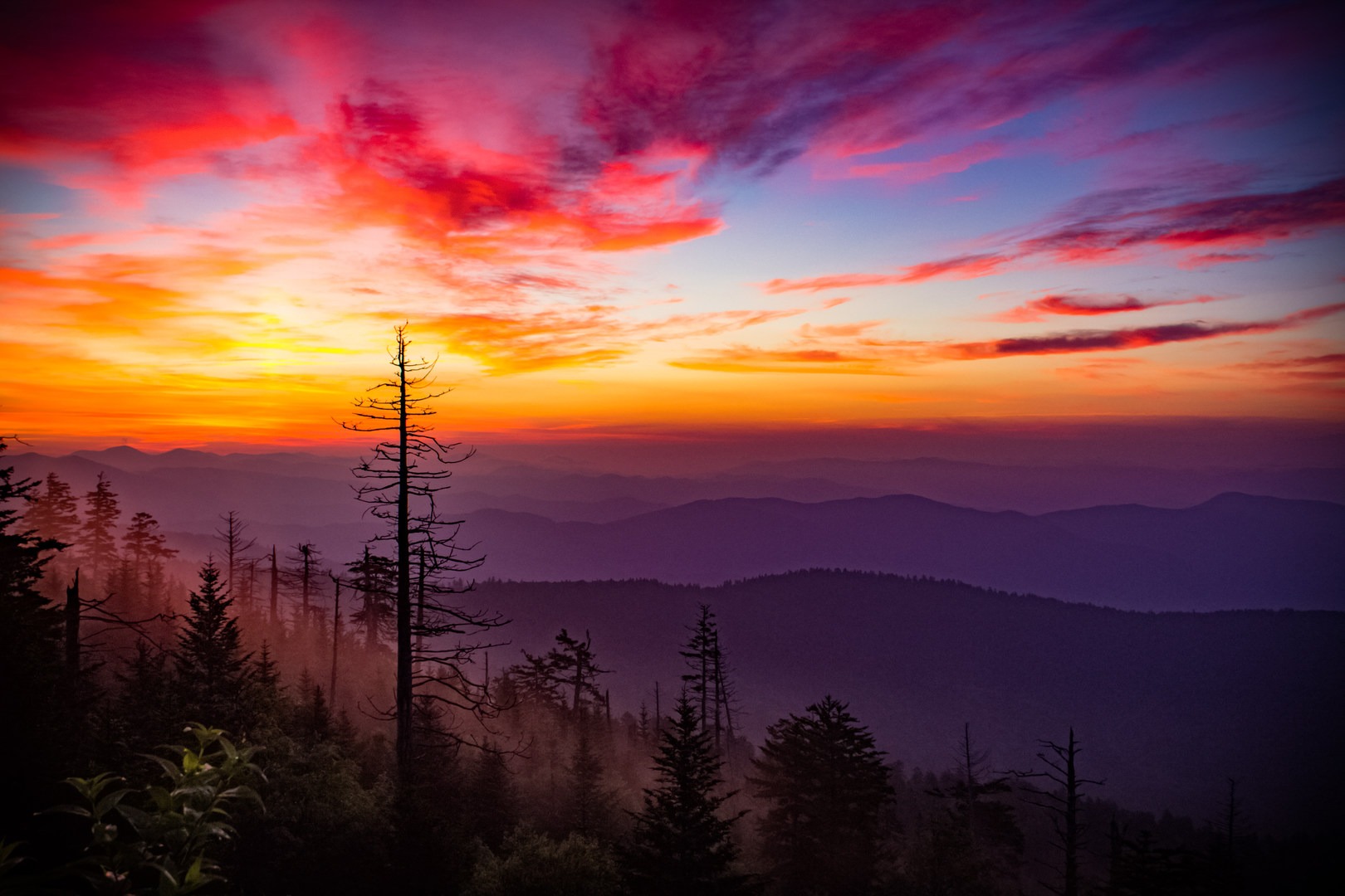 If you're going to Clingmans for the sunrise, arrive 30 minutes before the actual sunrise time to experience the vibrant and bold colors of first light.