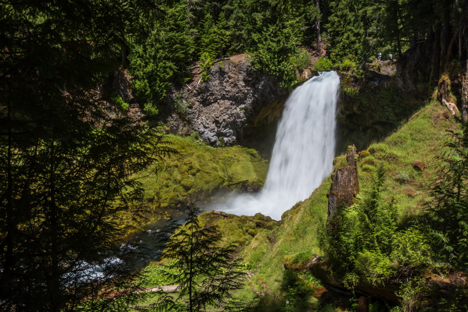 Sahalie Falls in July.