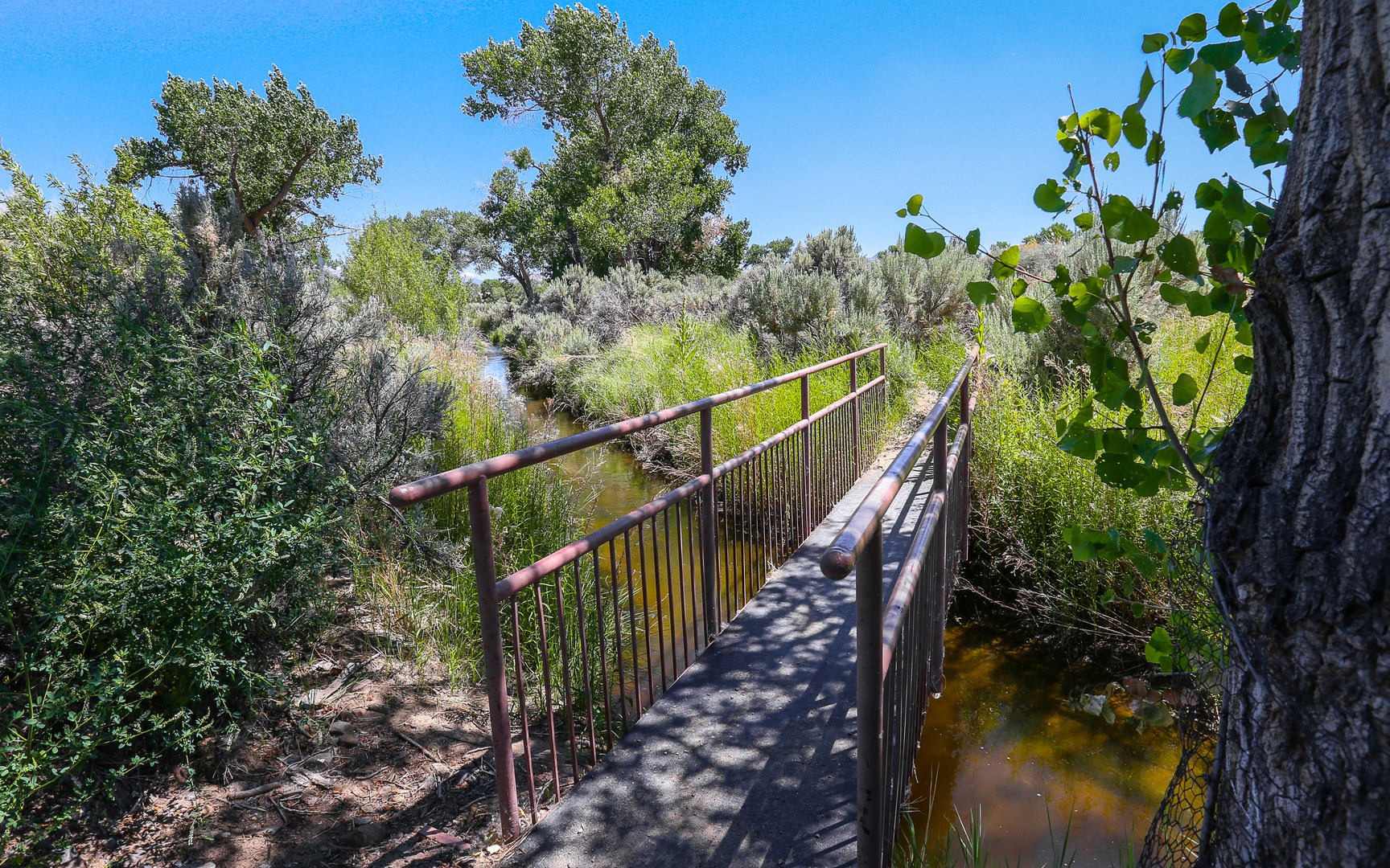 Dayton State Park Outdoor Project
