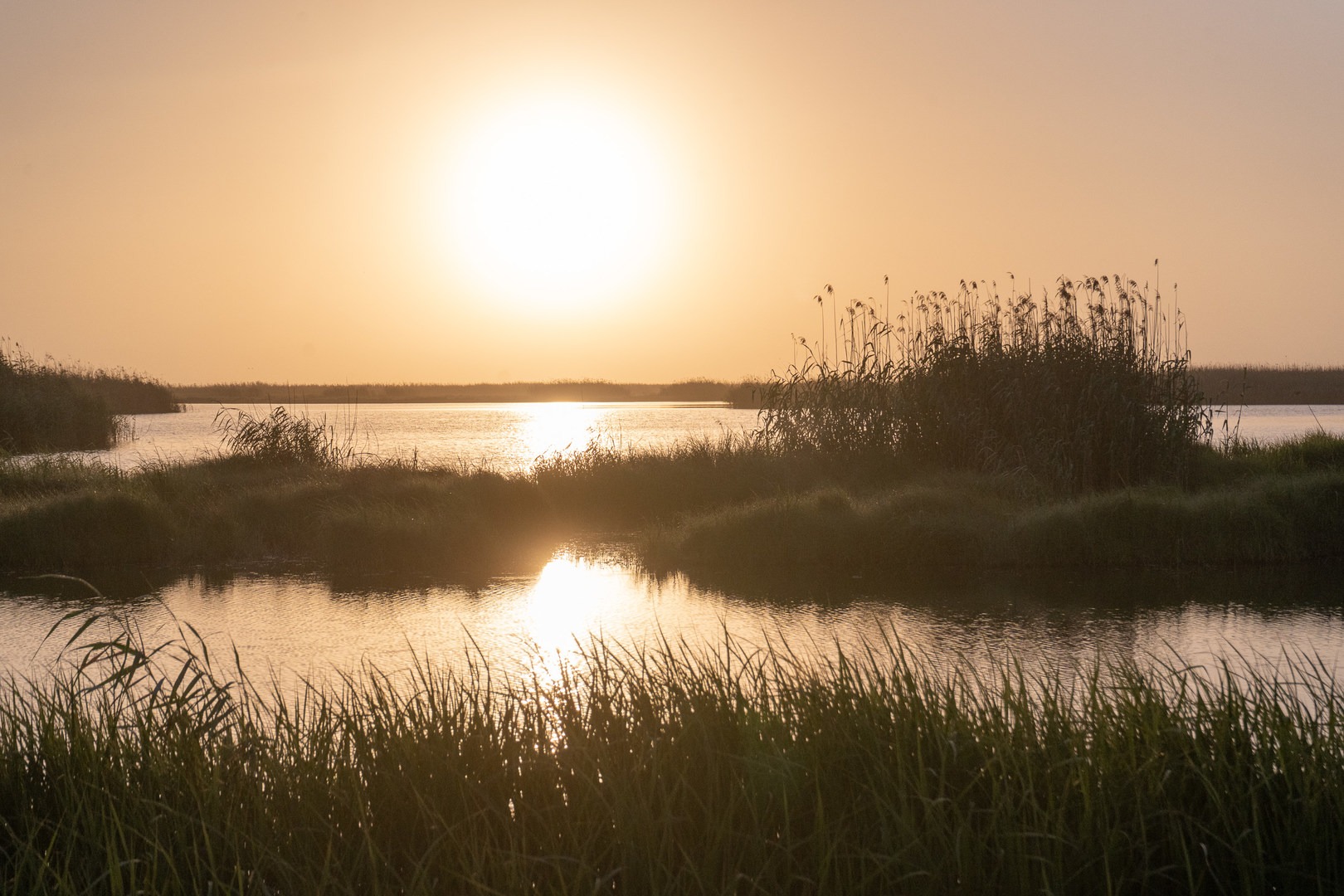 Sunrise over Rockefeller National Wildlife Refuge.