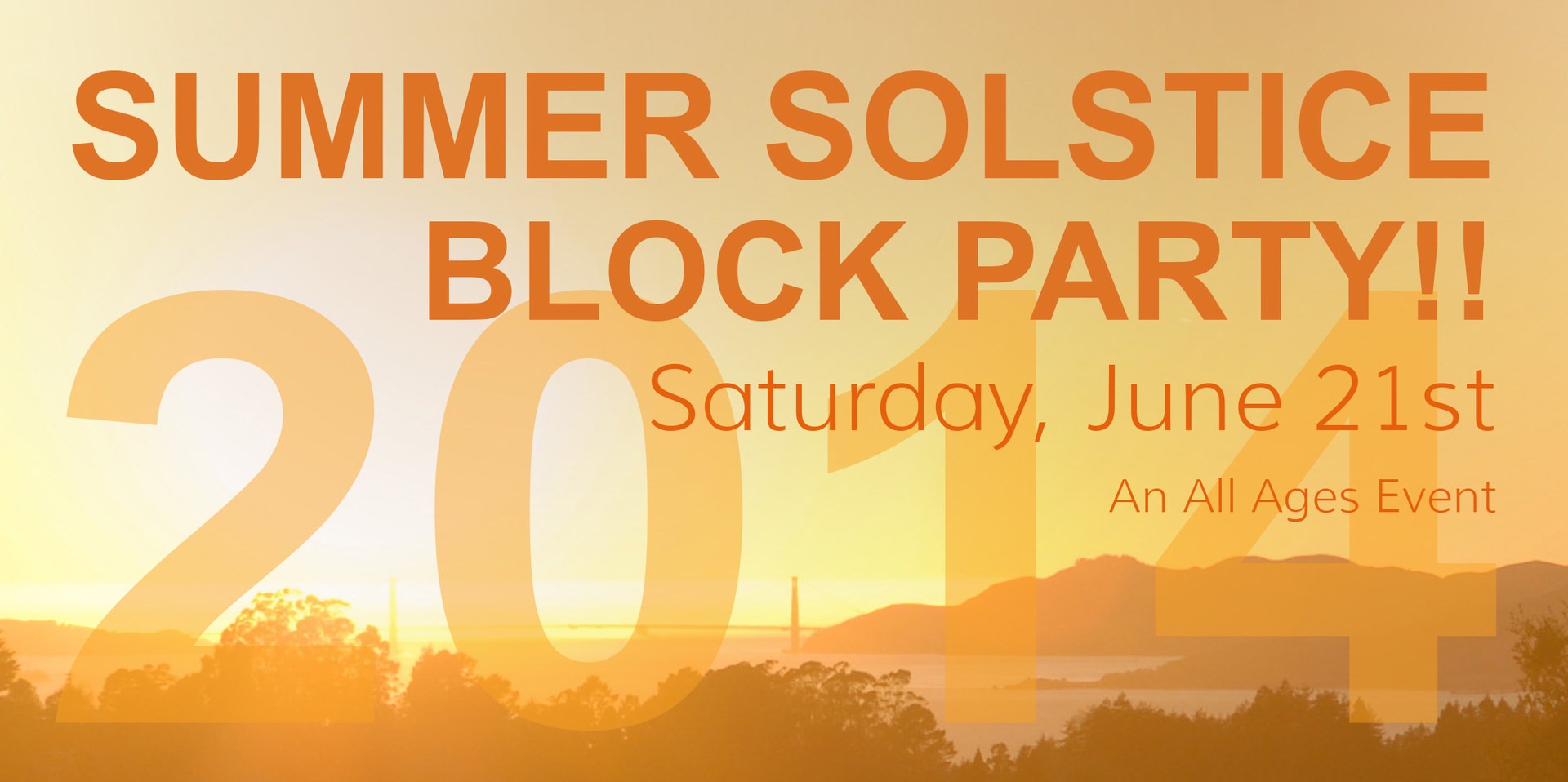 Summer Solstice Block Party 2014