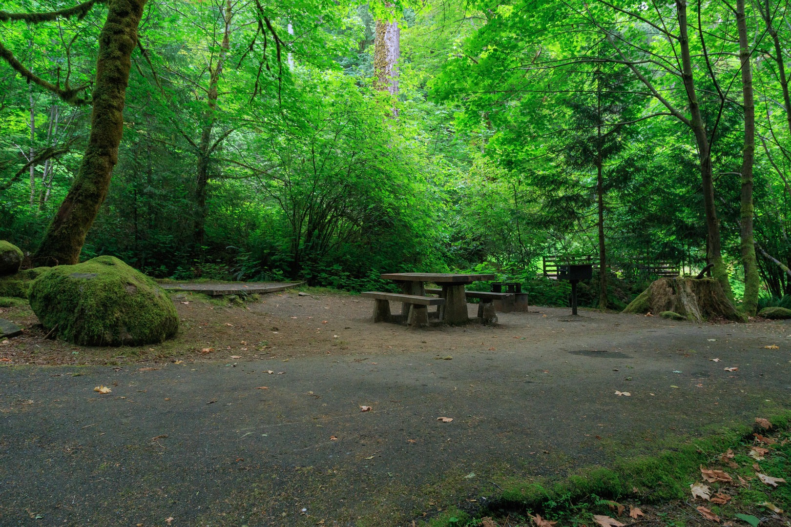 Loon Lake East Shore Recreation Site Campground Outdoor Project