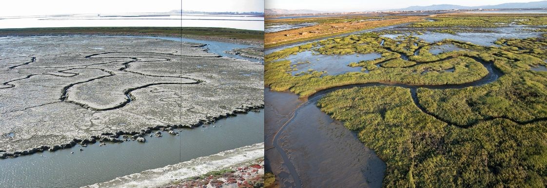 Changes as a result of salt pond restoration work, between 2006 and 2014. (Photo courtesy of Cris Benton)