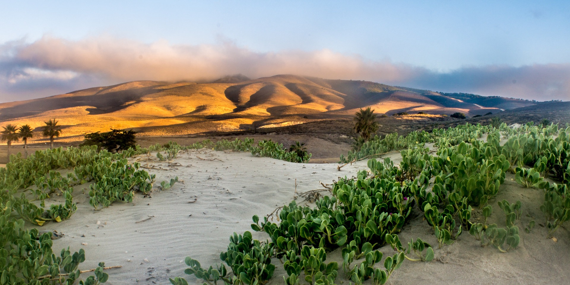 Jalama Beach