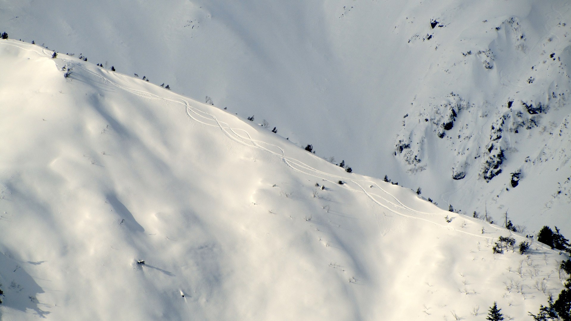 Fresh lines in the Japanese Alps. Photo by Steph Jagger.
