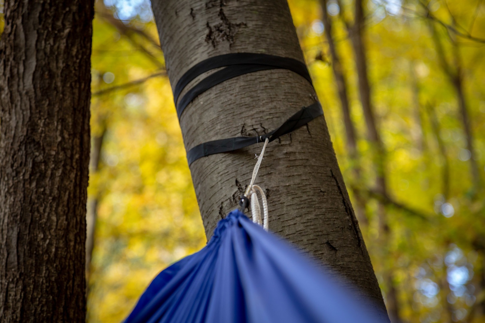 The Muletape suspension straps set up with the Grand Trunk Ultralight hammock.