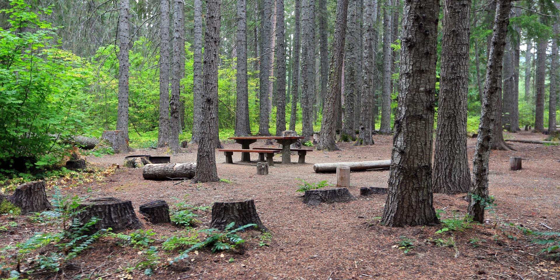 WishPoosh Campground Outdoor Project