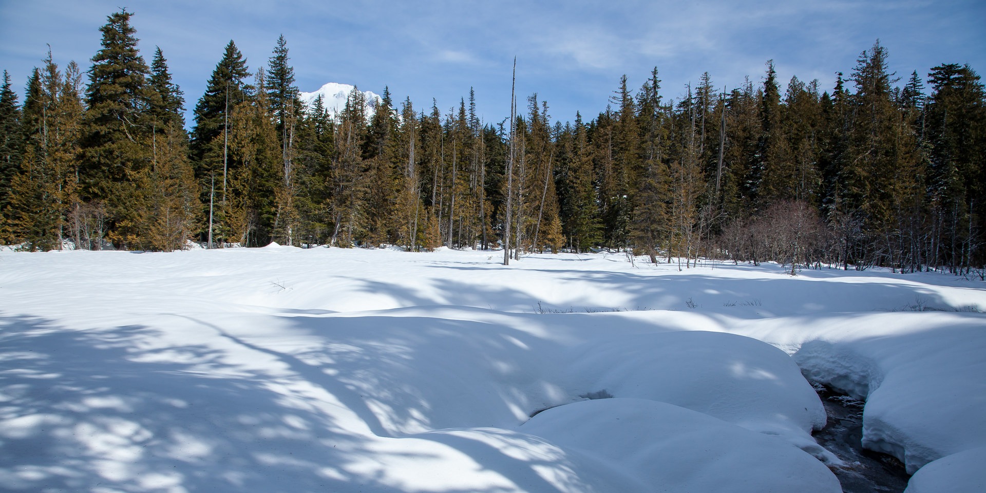 Enid Lake Ski + Snowshoe Loop Trail Outdoor Project