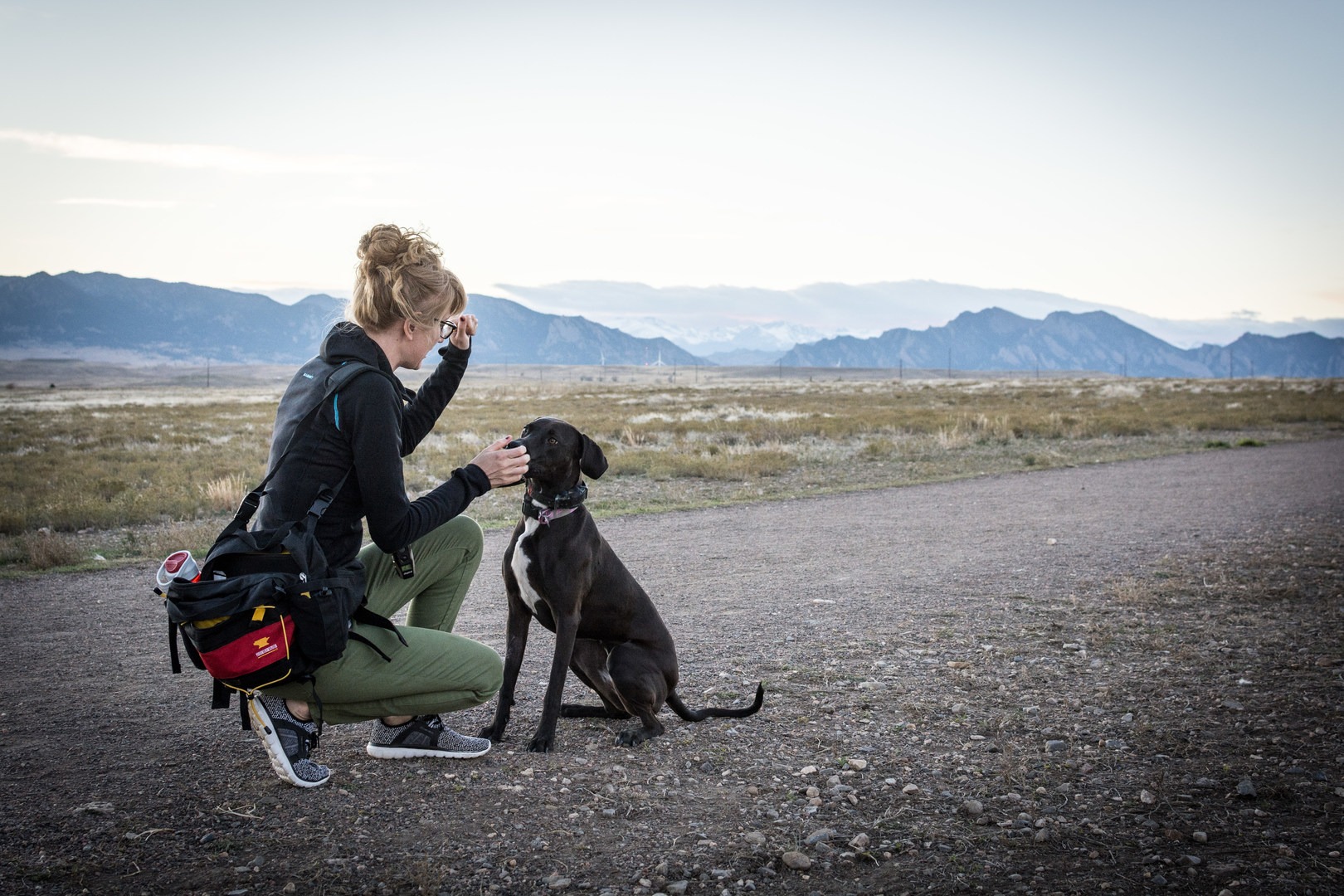 A great dog pack that provides easy organization and access to all of your stuff!
