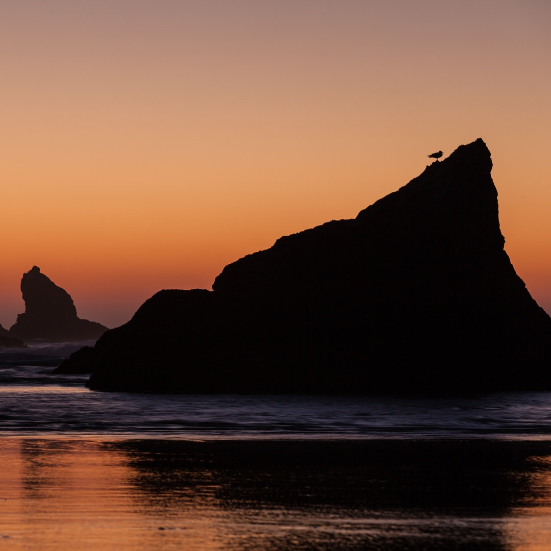 5 Great Reasons to Get Yourself Down to the Southern Oregon Coast