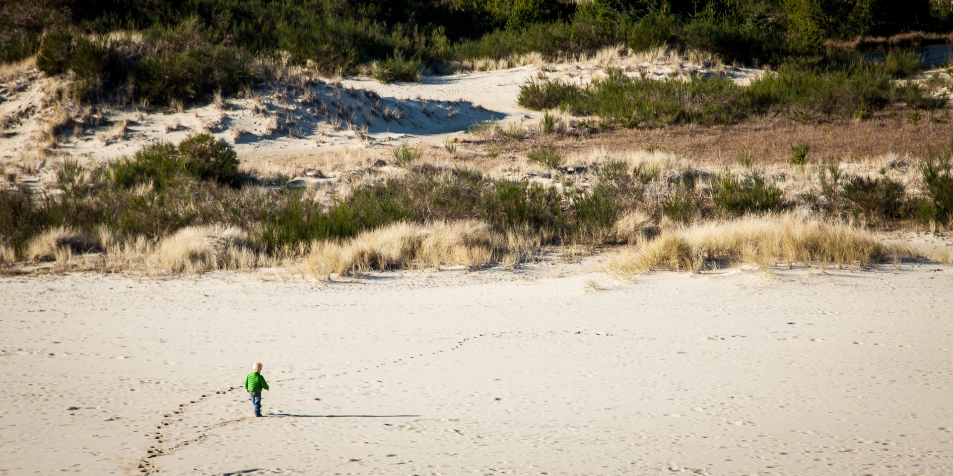 Oregon Dunes National Recreation Area.