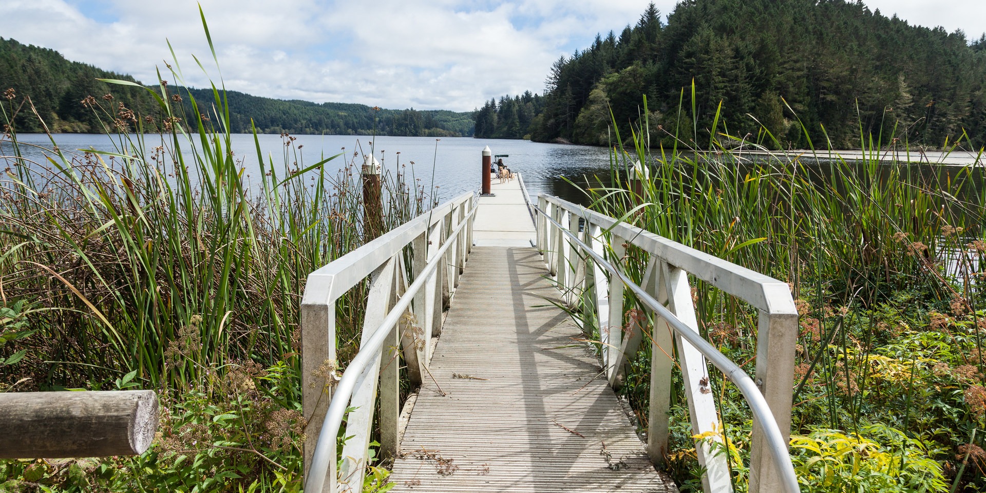 Tahkenitch Landing Campground Outdoor Project